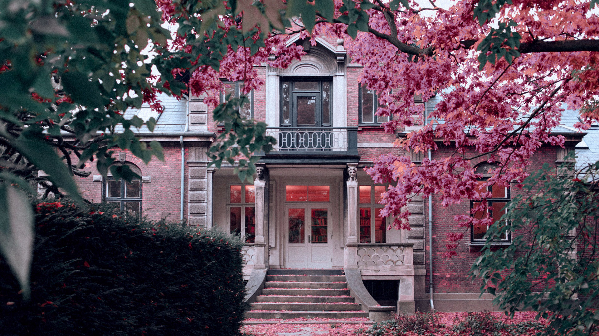 house8